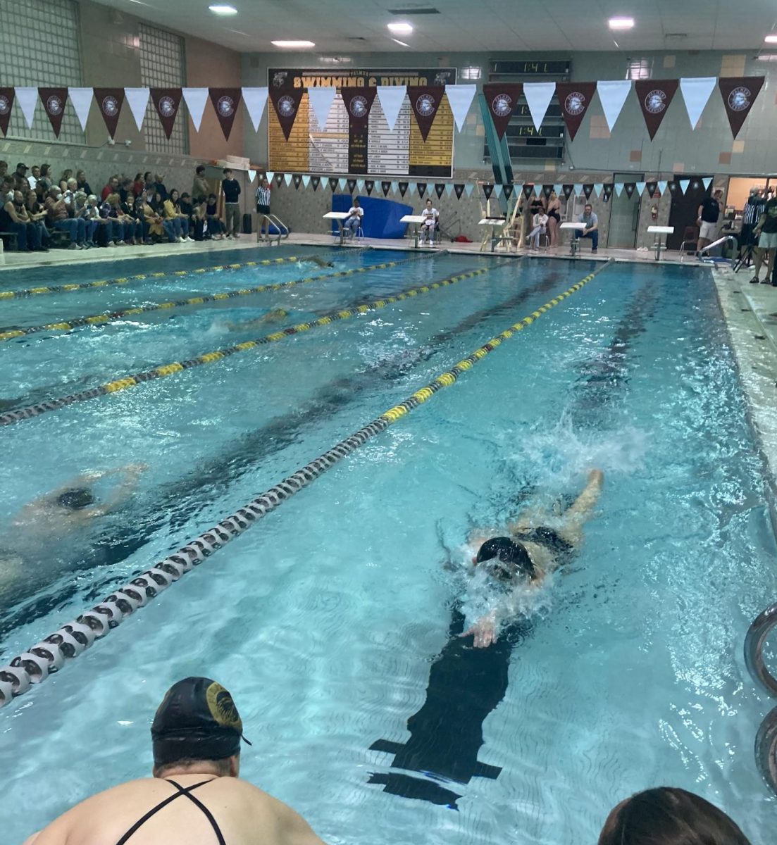 Palmer swimmer Natalie Muro competes in the 500m.  Swimming is one of the hardest aerobic workouts possible. 