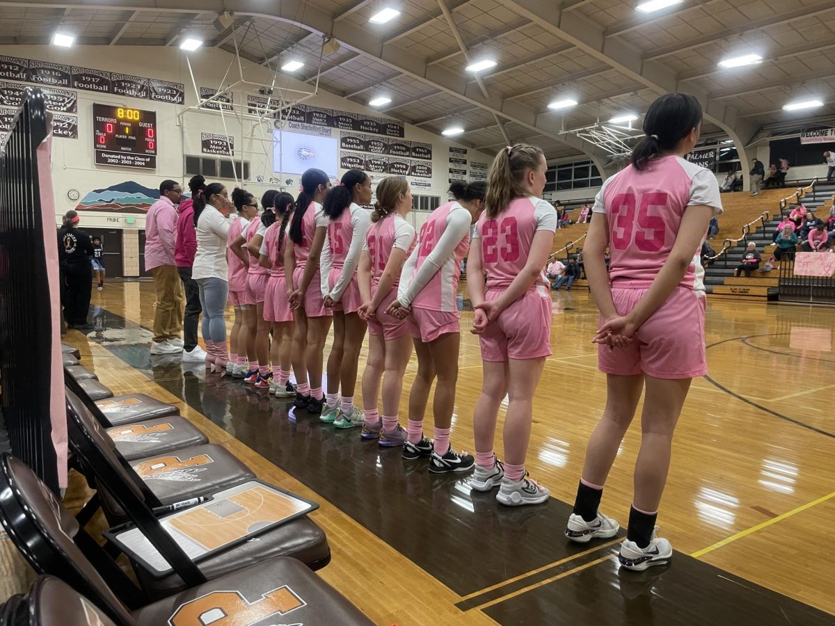 Girls+Basketball+Pink+Out+Game+2%2F7%2F24