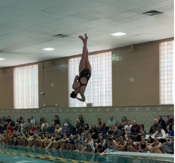 A Palmer diver executes a dive.  